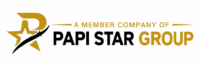 papi star group corporate logo and branding guidelines